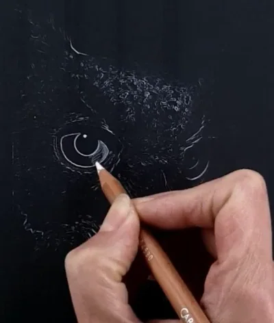 drawing owl on black paper.