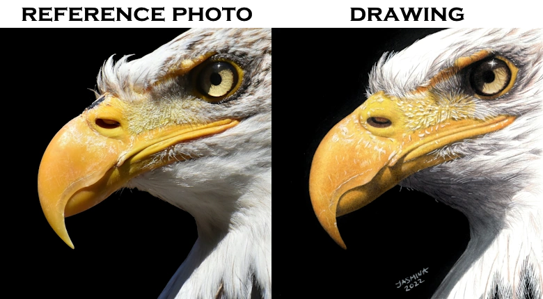 Reference image and drawing using PenPick